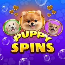 Puppy Spins
