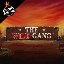 The wild Gang