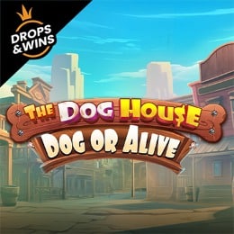 The Dog House – Dog or Alive