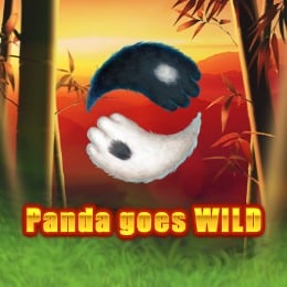 Panda Goes Wild