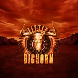Little Bighorn