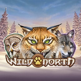 Wild North