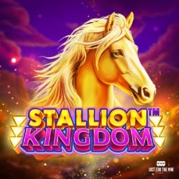 Stallion Kingdom