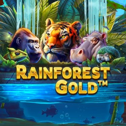 Rainforest Gold
