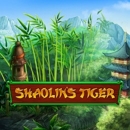 Shaolin's Tiger