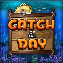 Catch of the Day