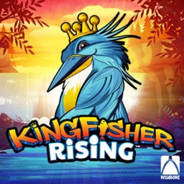 Kingfisher Rising™