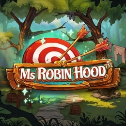 MS Robin Hood