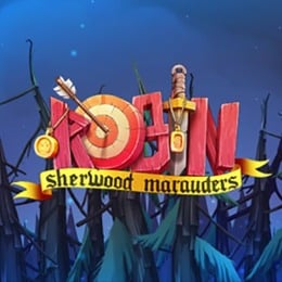 Robin - Sherwood Marauders