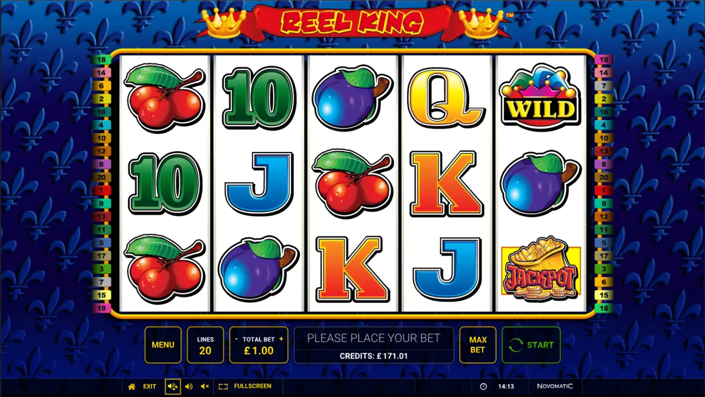 Reel King slot main game screen