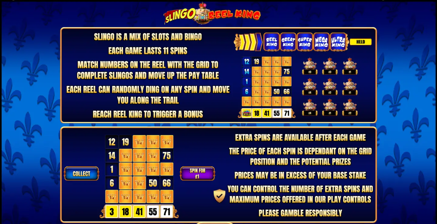 Slingo Reel King paytable