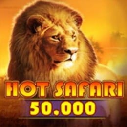 Hot Safari 50 000