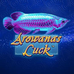 Arowanas Luck