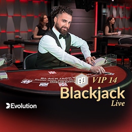 Blackjack VIP 14