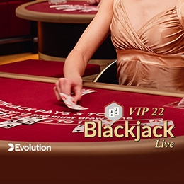 Blackjack VIP 22